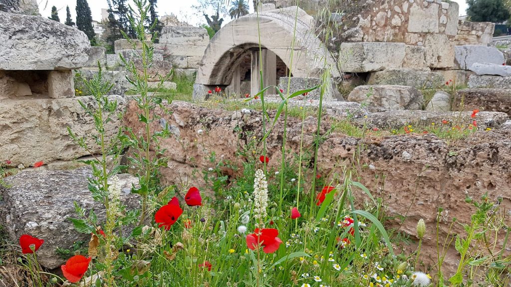 Ruins with flowers