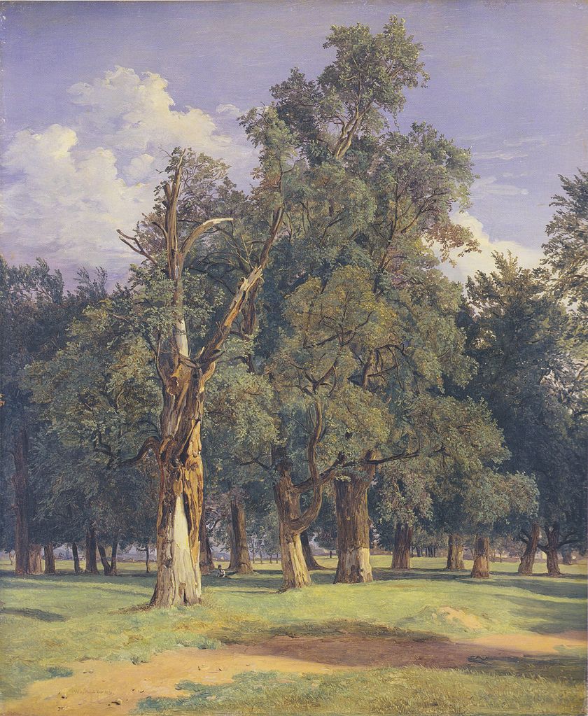 Painting: Elm trees