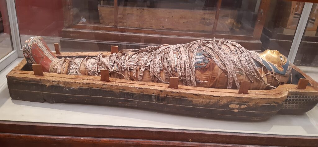 Mummified remains in casing