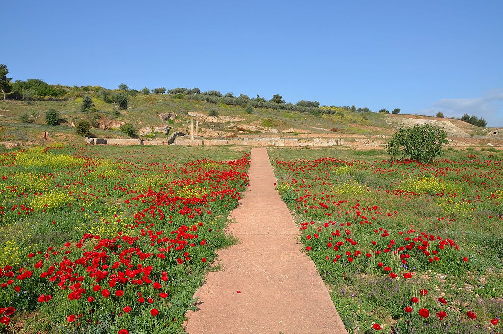 Photo: path bordered by red wild flowers leading to ruins with a slope behind